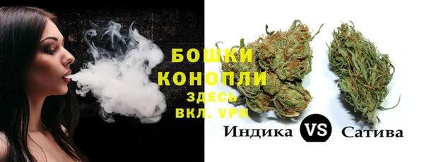 гашик Касимов