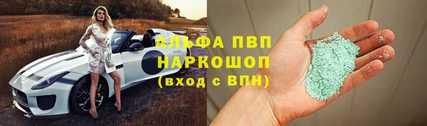 гашик Касимов