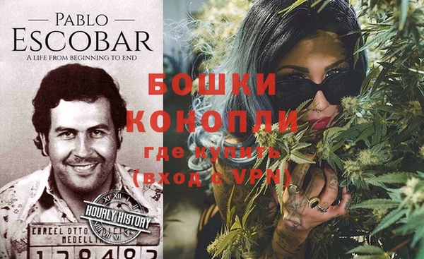 гашик Касимов