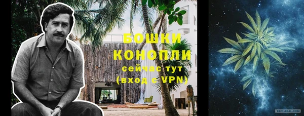 гашик Касимов