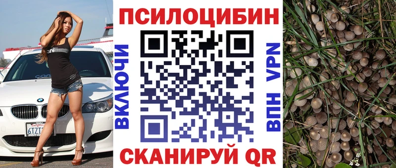 Купить  Георгиевск  Псилоцибиновые грибы GOLDEN TEACHER 