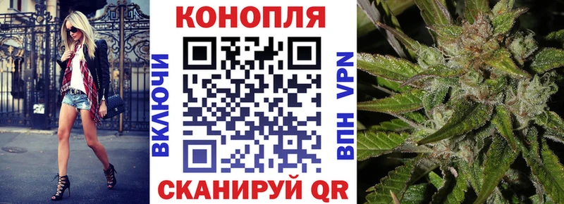 Конопля White Widow  Купить  Георгиевск 